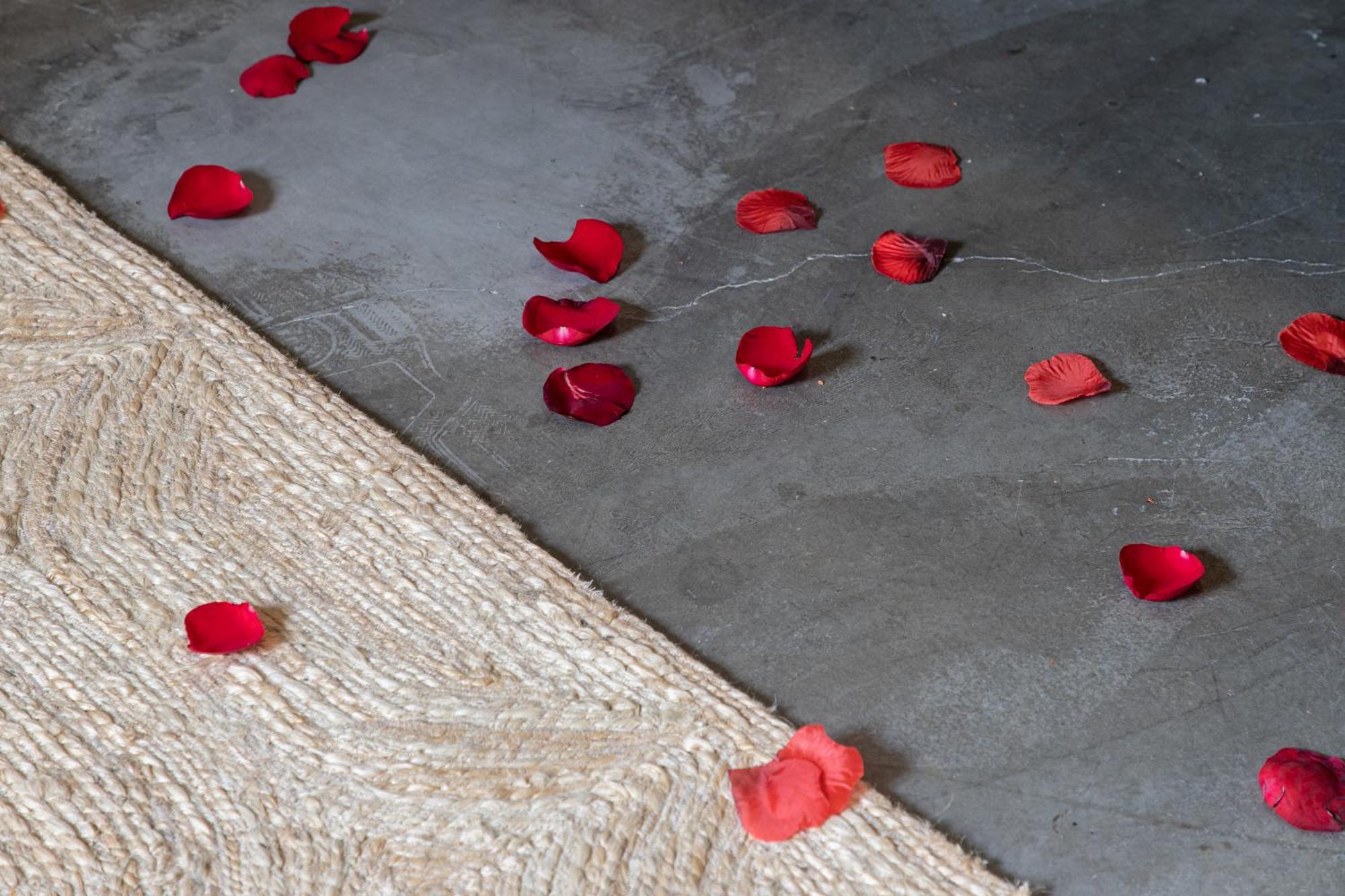 Casa Lumos - Minimalist Comfort Suites In Centro Historico Oaxaca ภายนอก รูปภาพ
