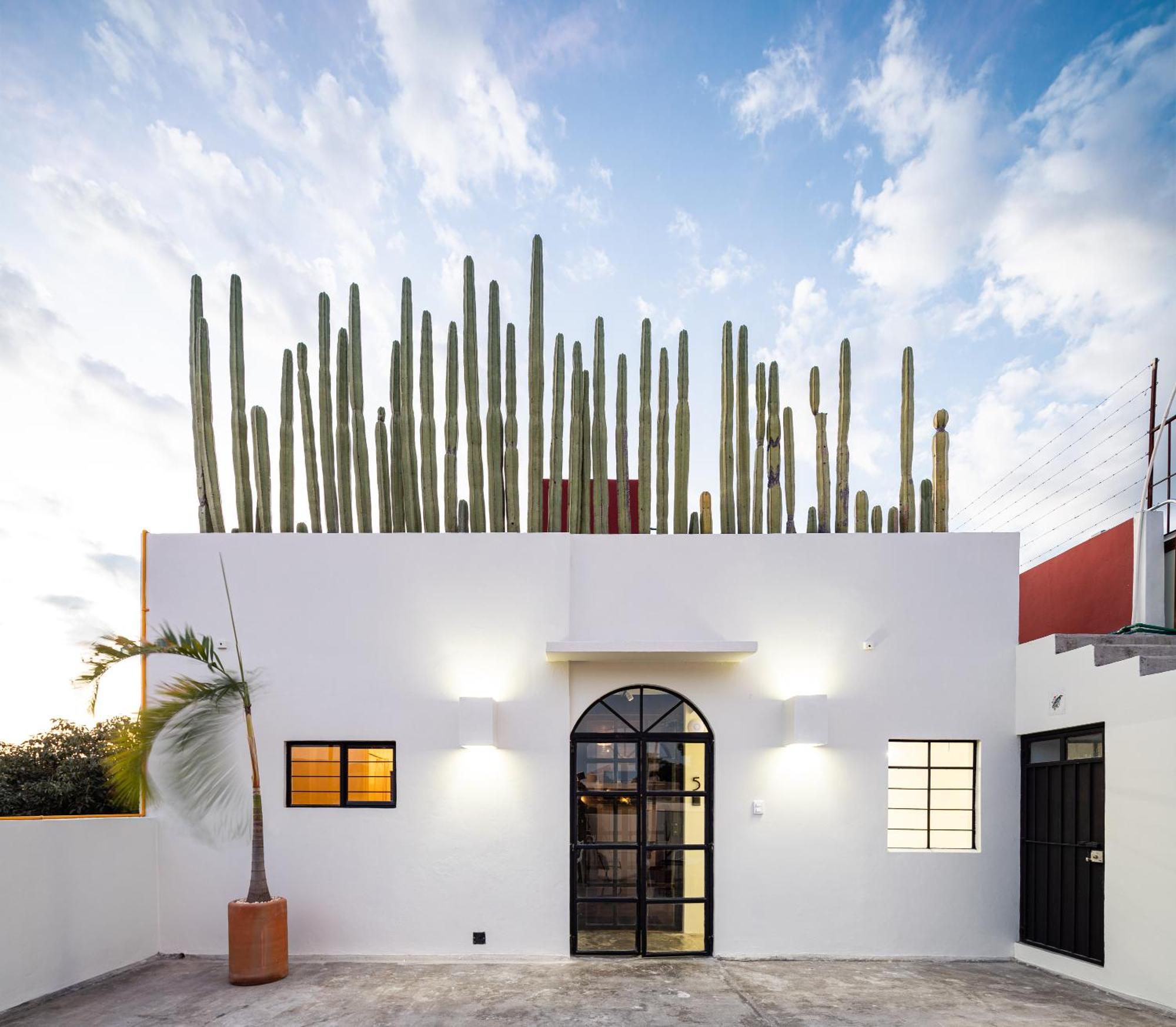 Casa Lumos - Minimalist Comfort Suites In Centro Historico Oaxaca ภายนอก รูปภาพ