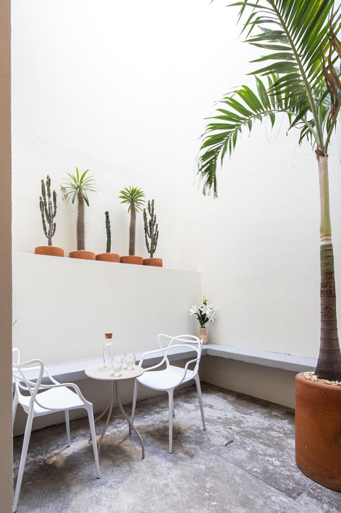 Casa Lumos - Minimalist Comfort Suites In Centro Historico Oaxaca ภายนอก รูปภาพ